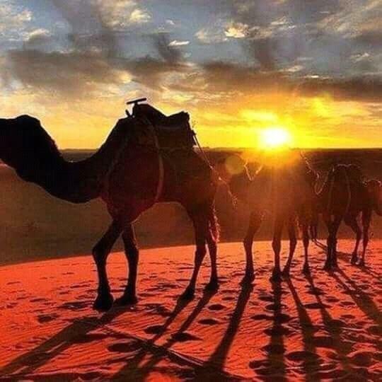 Bivouac Erg Znaigui Hotell Merzouga Exteriör bild